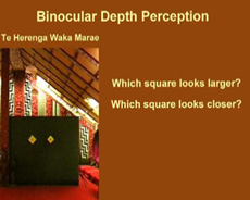 Depth Perception Squares